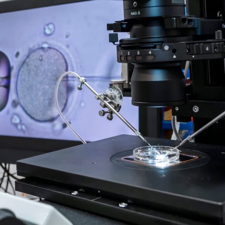 Gynaecology and Reproductive Care Adelaide Fertility Specialist