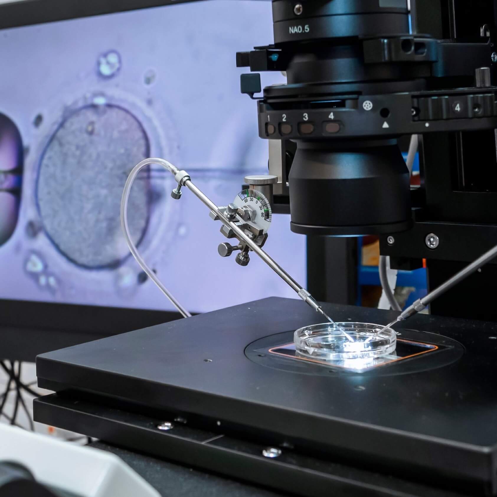 Gynaecology and Reproductive Care Adelaide Fertility Specialist