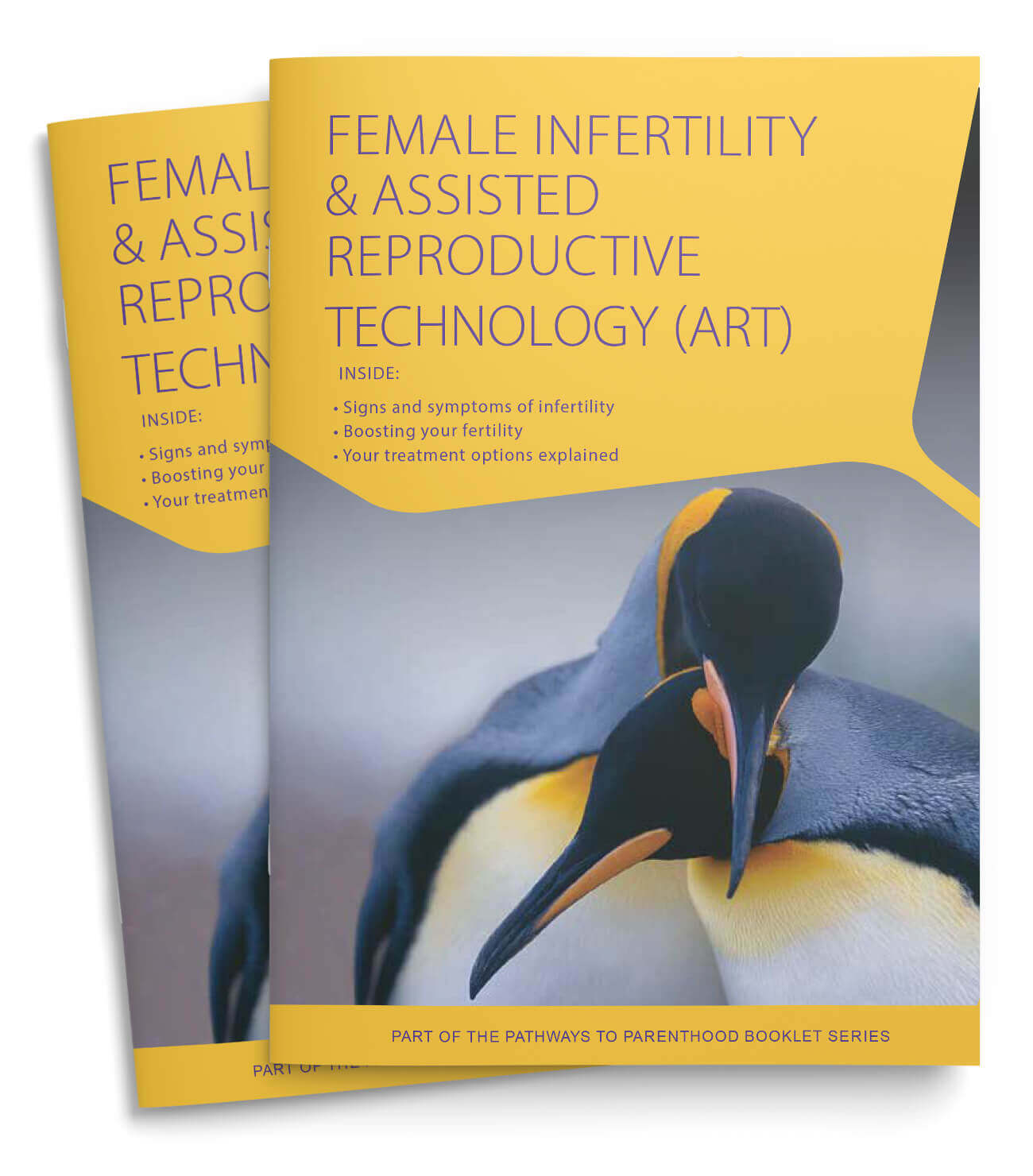 Female Infertility & Assisted Reproductive Technology (ART) - Dr ...